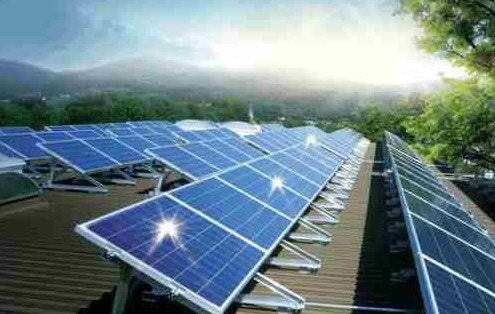 고품질 태양전지…녹나무 유래 물질에 답 있었다