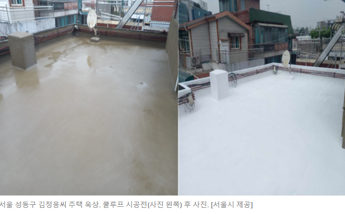 펄펄 끓던 우리 집 왜 시원해졌지?…하얀 옥상의 마법 [세상&]