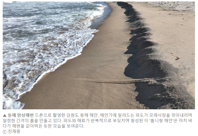 동해안 해변에 퍼지는 ‘톱니바퀴 자국’… 전문가 “매우 이례적”