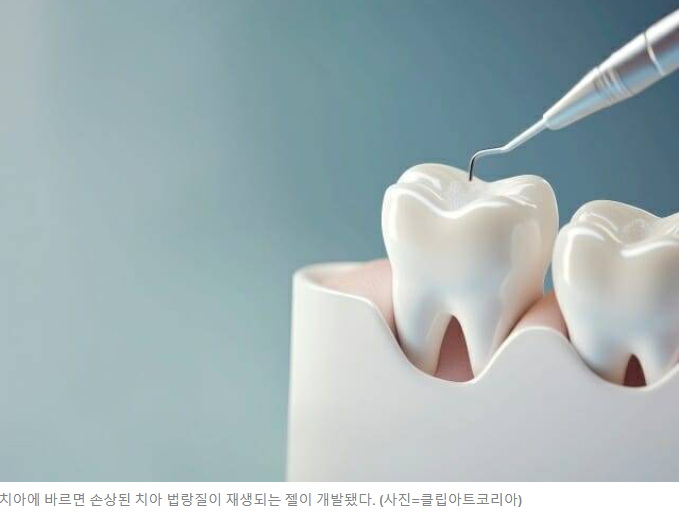 바르기만 하면 치아 재생되는 치약 나온다