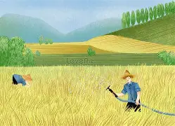 사과 키우던 영천서 “레드향 농사지어요”…제주 방어는 동해로