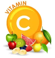 동물은 몸에서 비타민 C 만드는데, 우린 안 되는 이유