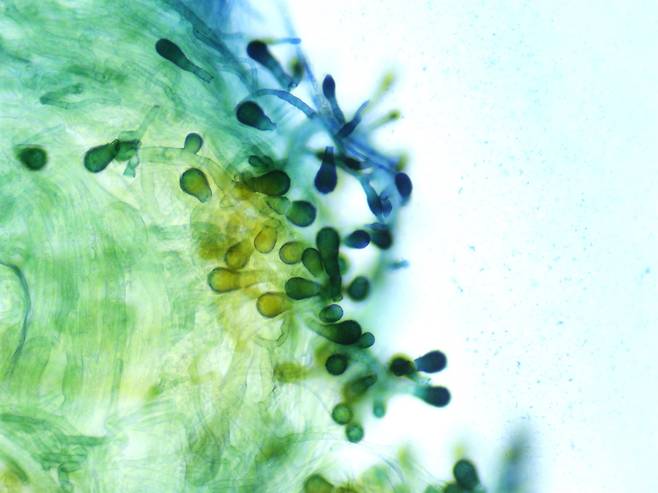 의사결정 및 자동화는 AI가 학습한 정보를 바탕으로 스스로 판단하고 행동하는 능력이다. 사람의 개입 없이도 일정 수준의 결정을 내릴 수 있다.