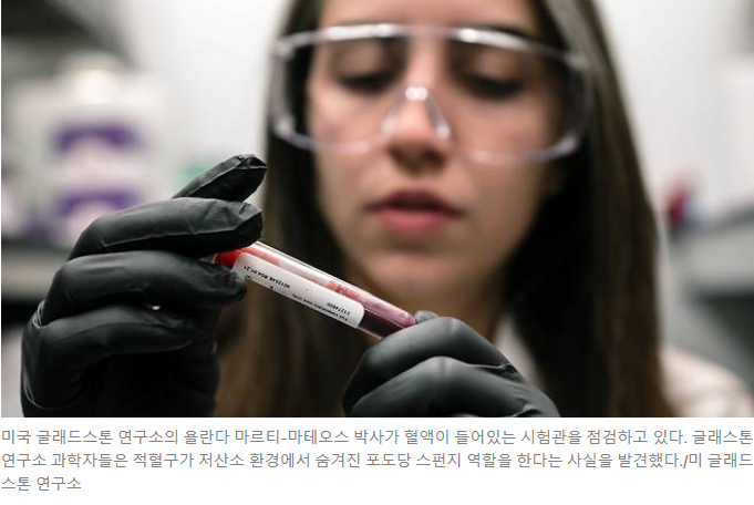 제목 : 당뇨병에 강한 티베트인, 비밀은 적혈구