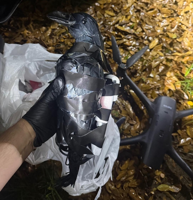 까악까악 아니고 윙~?…모형 까마귀로 마약·담배 교도소 밀반입 하려다 덜미